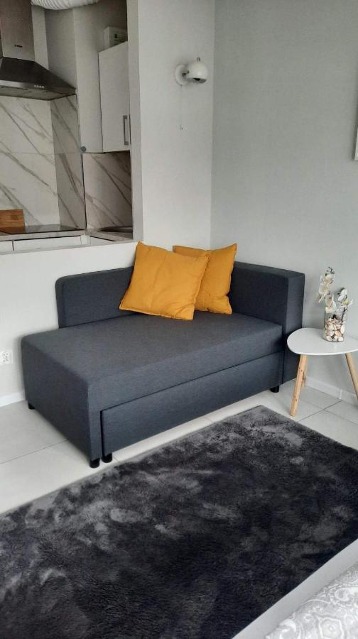 Apartament Mili ミエンジズドロイェ エクステリア 写真